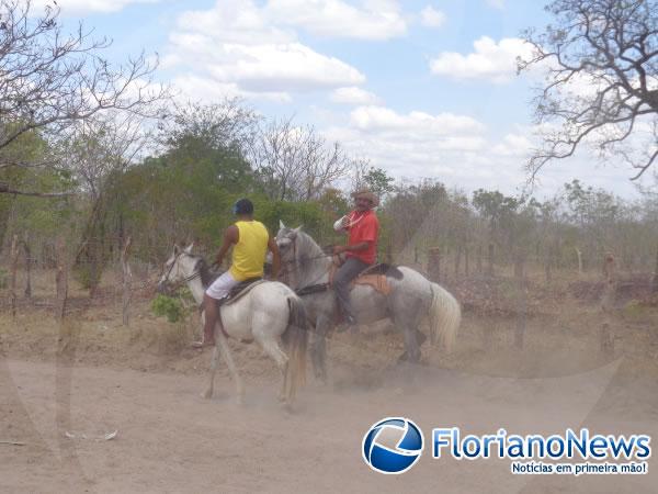 Corrida de cavalos.(Imagem:FlorianoNews)