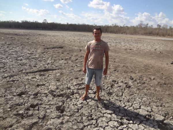 Seca mata animais na zona rural de Floriano.(Imagem:FlorianoNews)