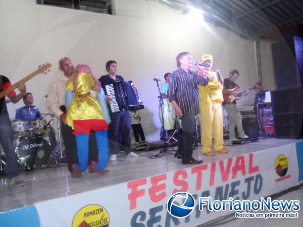 Festival Sertanejo 2015 é realizado pelo Projeto Amarelinho.(Imagem:FlorianoNews)