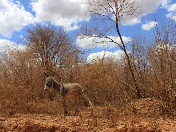 Adutora atenderia mas de 600 mil pessoas em 50 cidades do estado.(Imagem:Patrícia Andrade/G1)