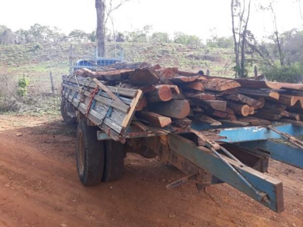 Caminhão é flagrado transportando madeira ilegal no Piauí.(Imagem:Divulgação/MPPI)