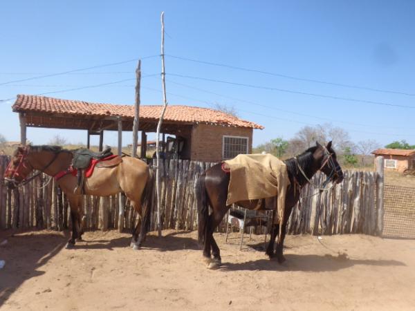 Festa do Vaqueiro na comunidade Mucaitá.(Imagem:FlorianoNews)