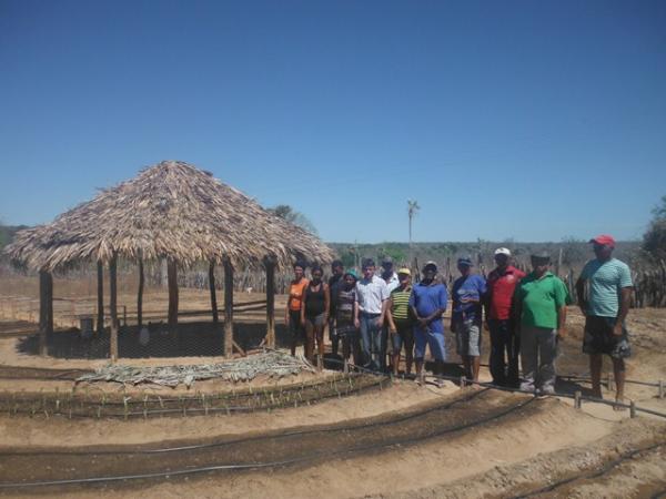 Pequenos agricultores de Floriano são beneficiados pelo através do Projeto PAIS.(Imagem:FlorianoNews)