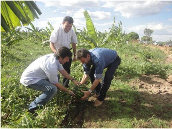 Governador Wilson Martins visita I FEAGRI em Guadalupe.(Imagem:FlorianoNews)