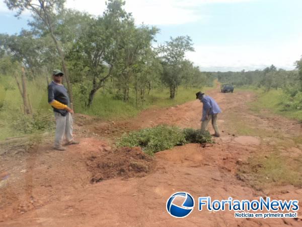 Moradores da localidade Bom Jardim tapam buracos em estrada.(Imagem:FlorianoNews)