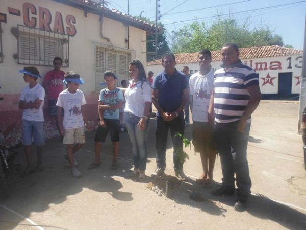 Caminhada e plantio de árvores marcam enceramento de Projeto Ambiental em Barão de Grajaú. (Imagem:FlorianoNews)