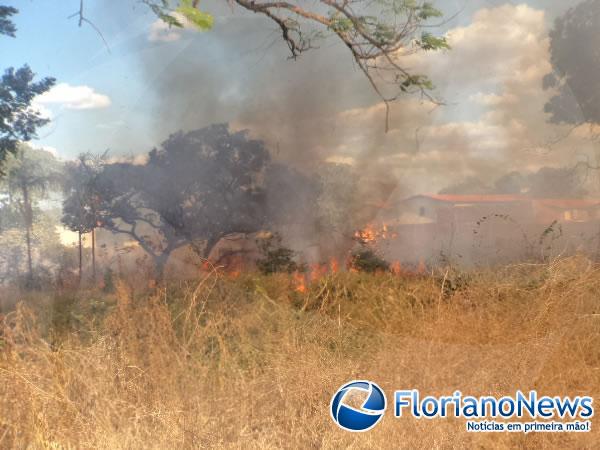 Corpo de Bombeiros registrou dois incêndios em terrenos baldios na tarde desta quinta em Floriano.(Imagem:FlorianoNews)