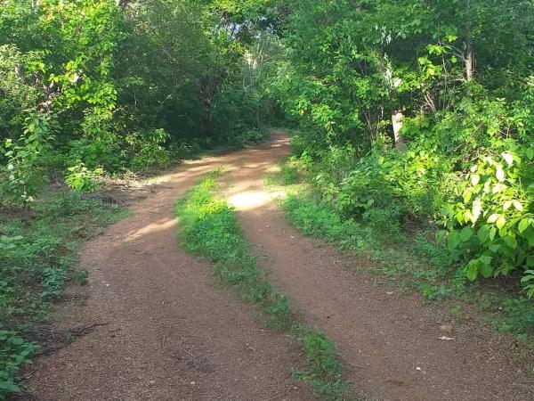 Estrada onde o corpo foi localizado(Imagem:Divulgação/PM)