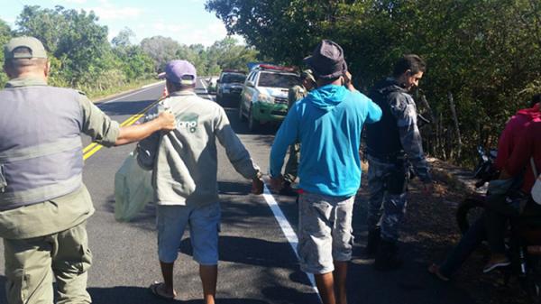 PM desencadeia operação e apreende armas no Norte do Piauí.(Imagem:Divulgação)