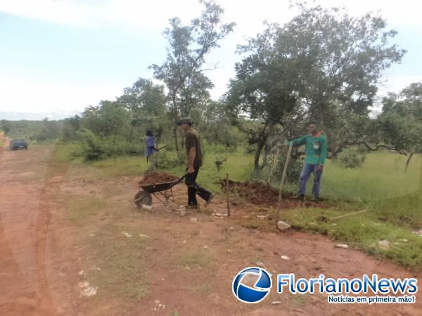 Moradores da localidade Bom Jardim tapam buracos em estrada.(Imagem:FlorianoNews)