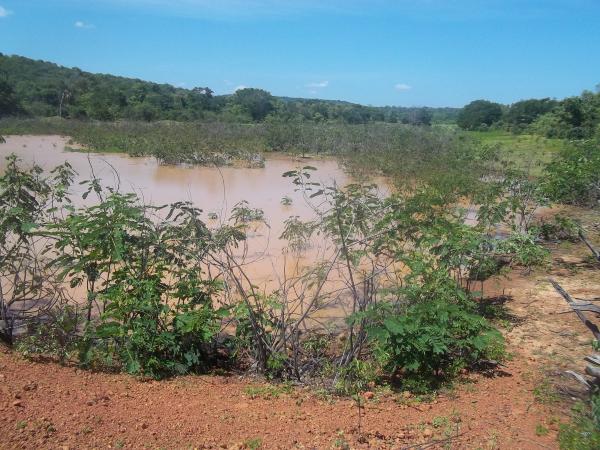 Secretário de Desenvolvimento Rural visita barragem na localidade Amolar.(Imagem:Assessoria de Imprensa)