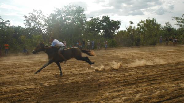 Realizada com sucesso a corrida de prado em Barão de Grajaú.(Imagem:FlorianoNews)