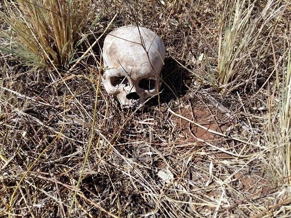 Ossada humana é encontrada na zona rural de Itaueira.(Imagem:Polícia Civil)