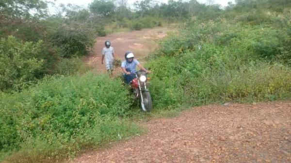 Florianenses mantém tradição de colher Alecrim na Sexta-feira Santa.(Imagem:FlorianoNews)