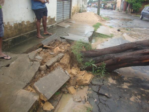 Árvore arrancada pela raiz(Imagem:redação)