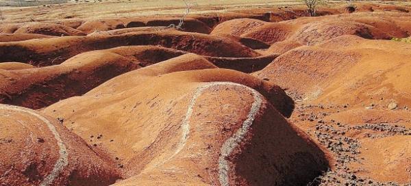 Piauí terá projeto piloto contra desertificação, anuncia diretor do MMA.(Imagem:Paulo de Araújo/MMA)