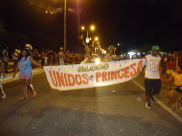 Sete Escolas do Grupo de Acesso se apresentaram no 1º dia de desfiles em Floriano.(Imagem:FlorianoNews)