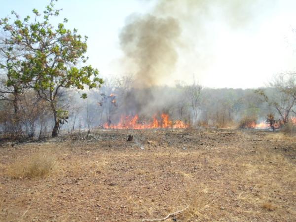 Incêndio deixa Floriano coberta por nuvem de fumaça.(Imagem:FlorianoNews)