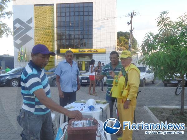 Plebiscito Popular por reforma política foi realizado em Floriano.(Imagem:FlorianoNews)
