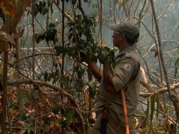 Equipes do Corpo de Bombeiros ainda trabalham no combate ao fogo.(Imagem:Reprodução/TV Clube)