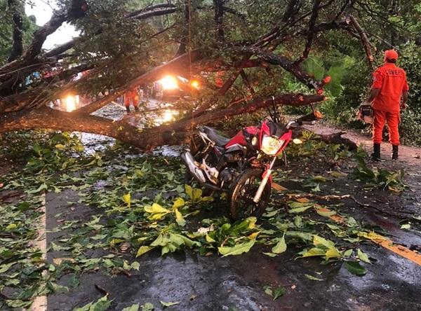 Homem morre após acidente de motocicleta com uma árvore na região sul de Teresina(Imagem:DIVULGAÇÃO/ASCOM)