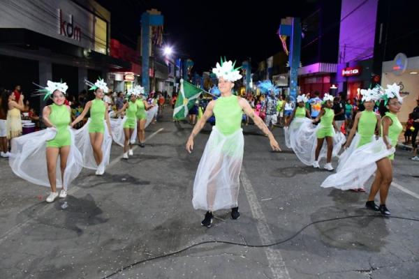Desfile das Escolas de Samba encanta p&uacute;blico na Avenida Get&uacute;lio Vargas.(Imagem:Secom)