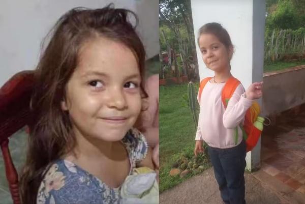 Nidia Giulia de Sousa Portela - Menina de 8 anos morre em colisão entre moto e caminhão na BR-343, no Piauí.(Imagem:Reprodução)