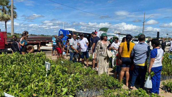 Mais de 66 mil mudas de plantas são distribuídas pela Semarh em 2025.(Imagem:Ascom Semarh)