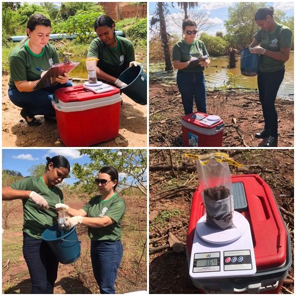  SEMAN realiza coleta de amostras de solo para análise ambiental especializada.(Imagem:Reprodução/Instagram)