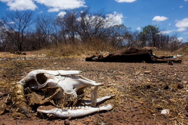 kksksksksksksk(Imagem:Reprodu&ccedil;&atilde;o)