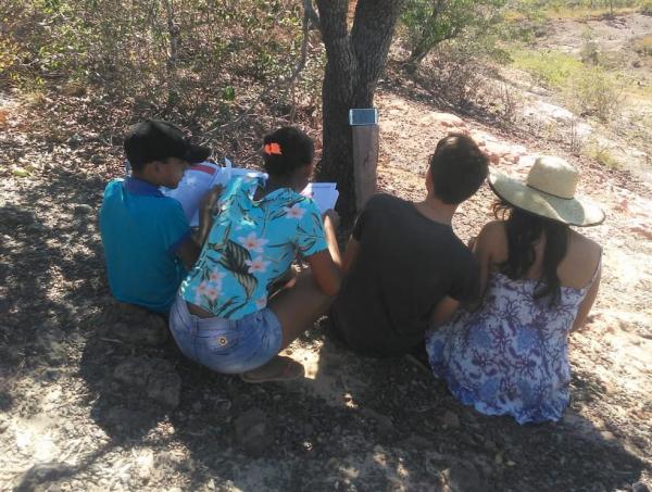 Alunos sobem em árvore em cima de morro para assistirem a aulas remotas no Piauí(Imagem:Reprodução)