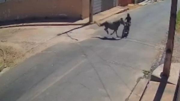Motociclista morre após colisão com cavalo solto no bairro Taboca.(Imagem:Reprodução)