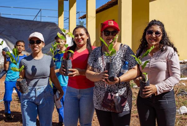 As mudas, frutíferas ou nativas, estão sendo distribuídas gratuitamente pela Secretaria de Meio Ambiente e Recursos Hídricos (Semarh)(Imagem:Ascom Semarh)