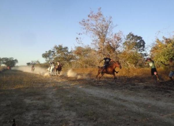 Povoado Manga-MA realiza I Cavalgada Nossa Senhora da Conceição(Imagem:FlorianoNews)