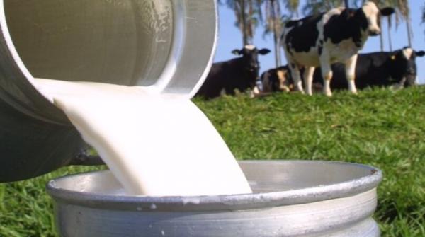 Governo do Piauí realiza iniciativas para impulsionar ainda mais a produção.(Imagem:Divulgação)