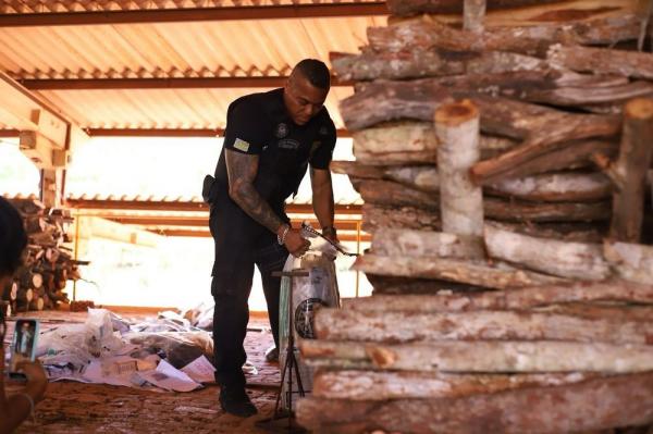  Denarc apreende quase meia tonelada de drogas no Piauí em 2023.(Imagem:Divulgação)