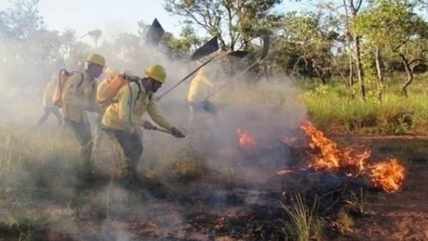 Prefeitura no Piauí abre inscrição de seletivo com salário de até R$2,6 mil(Imagem:Reprodução)