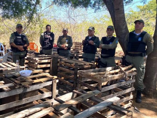 Polícia Militar flagra e encerra rinha de galos em São Pedro do Piauí; dez pessoas autuadas por maus-tratos.(Imagem:Divulgação/PM)