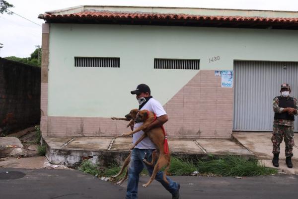 Cães abandonados foram resgatados pela polícia em Teresina.(Imagem: Naftaly Nascimento/G1)