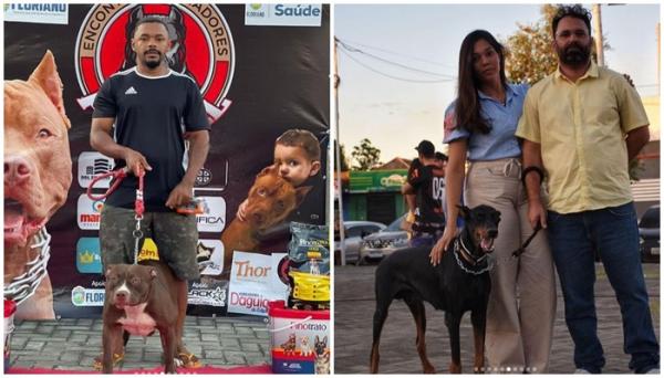 Encontro de criadores de pitbulls em Floriano celebra 7 anos do grupo e combate preconceitos.(Imagem:Reprodução/Instagram)