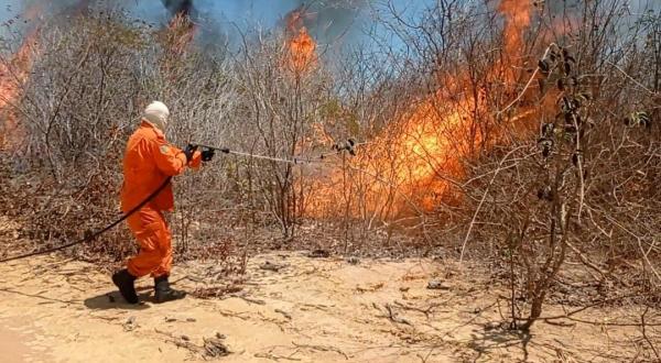 Segundo o Corpo de Bombeiros, 90% dos focos de incêndio são provocados, e não naturais.(Imagem:Divulgação)