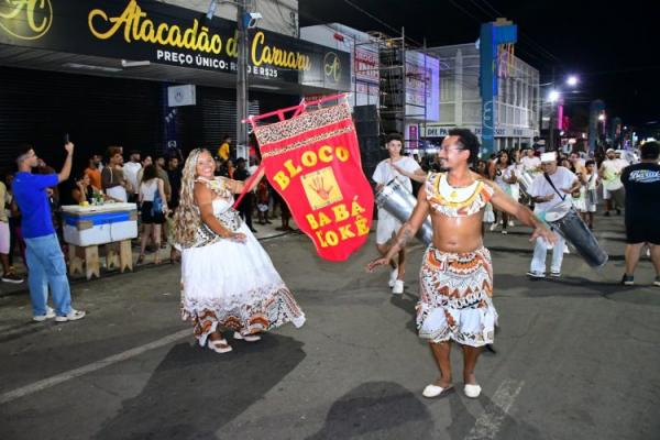 Desfile das Escolas de Samba encanta p&uacute;blico na Avenida Get&uacute;lio Vargas.(Imagem:Secom)