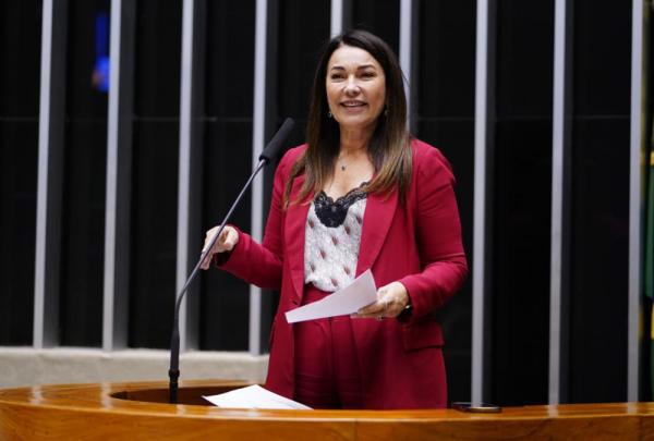Diretora administrativo e financeira do Sebrae, Margarete Coelho.(Imagem:Pablo Valadares/ Câmara dos Deputados)