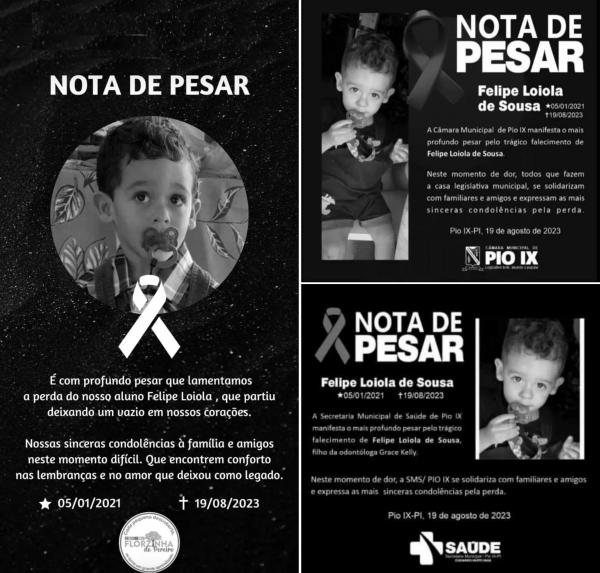 Gêmeo de 2 anos, filho de dentista, morre atropelado na BR-020 no Piauí.(Imagem:Reprodução)