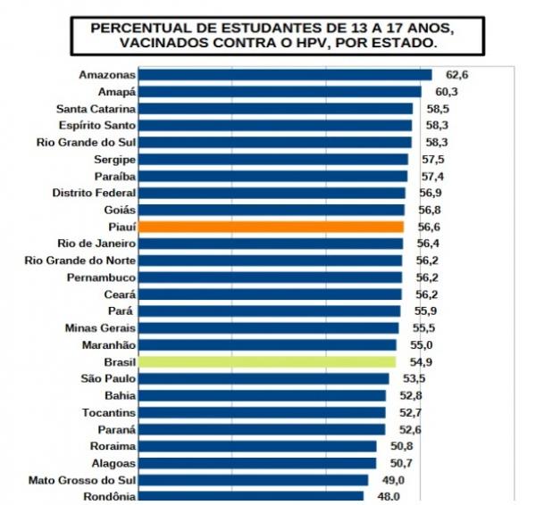 Piau&iacute; lidera desinforma&ccedil;&atilde;o sobre vacina contra HPV entre jovens, aponta IBGE(Imagem:Divulga&ccedil;&atilde;o)