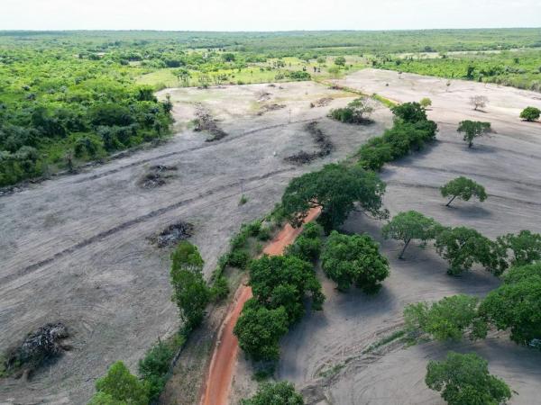 A área fiscalizada abrangeu aproximadamente 2.000 hectares.(Imagem:Divulgação)