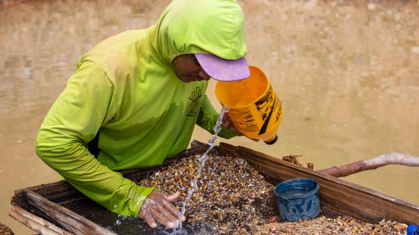 Opala do Piau&iacute; ganha destaque com avan&ccedil;o de pesquisa, inova&ccedil;&atilde;o e qualifica&ccedil;&atilde;o.(Imagem:Maria Catiany)