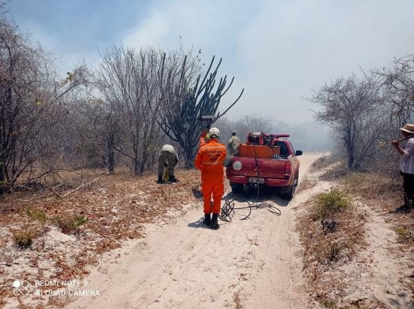 Focos de queimadas crescem e Piauí ocupa a 2ª colocação no ranking do Nordeste(Imagem:Reprodução)
