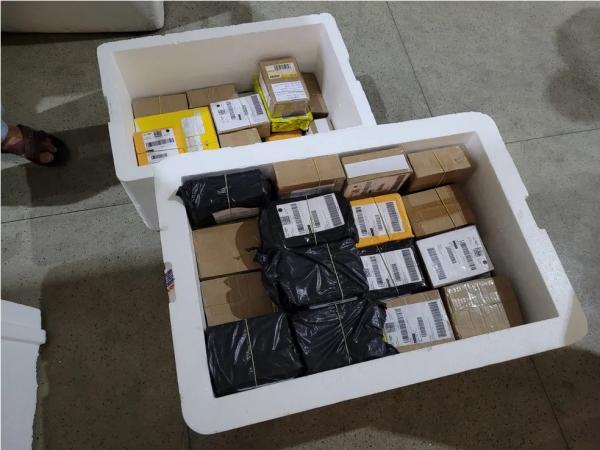 Funcionários dos Correios no Piauí encontram quase 80 pacotes com anabolizantes que seriam enviados para vários estados do país.(Imagem:Divulgação /Vigilância Sanitária)