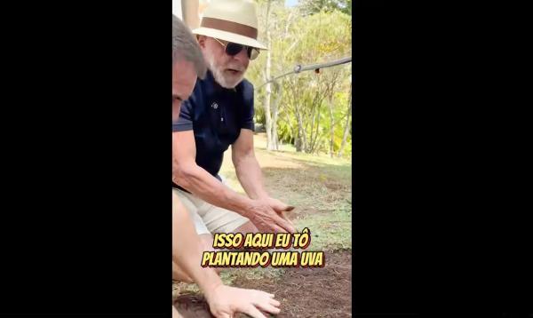 Presidente Luiz Inácio Lula da Silva é visto plantando uva.(Imagem:Lulaoficial/instagram)